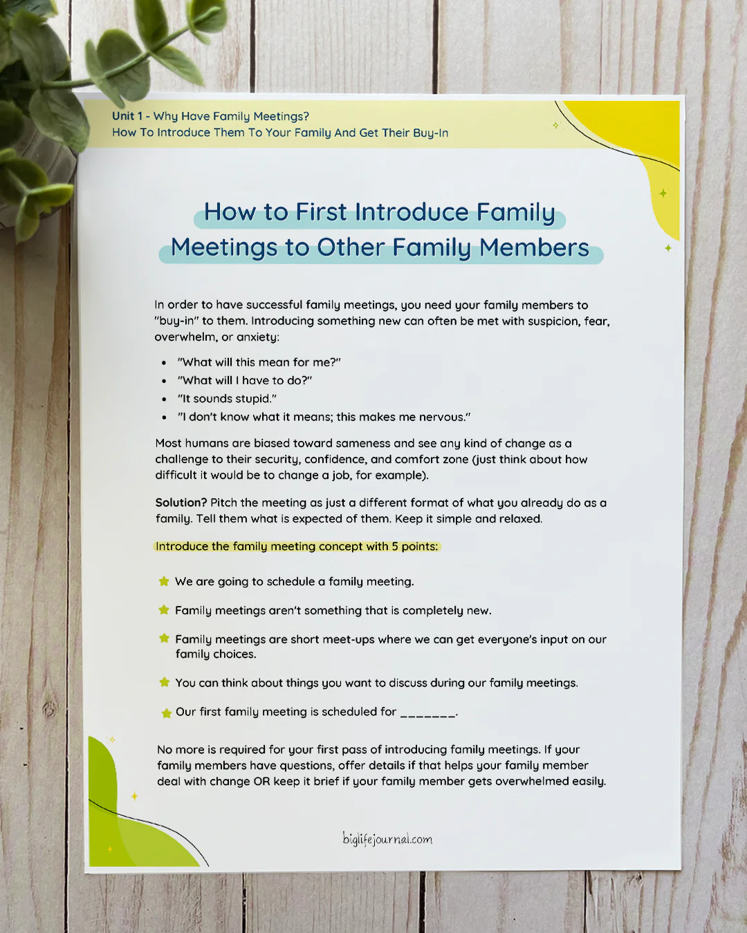 Family Meeting Resource Kit PDF - Image 4