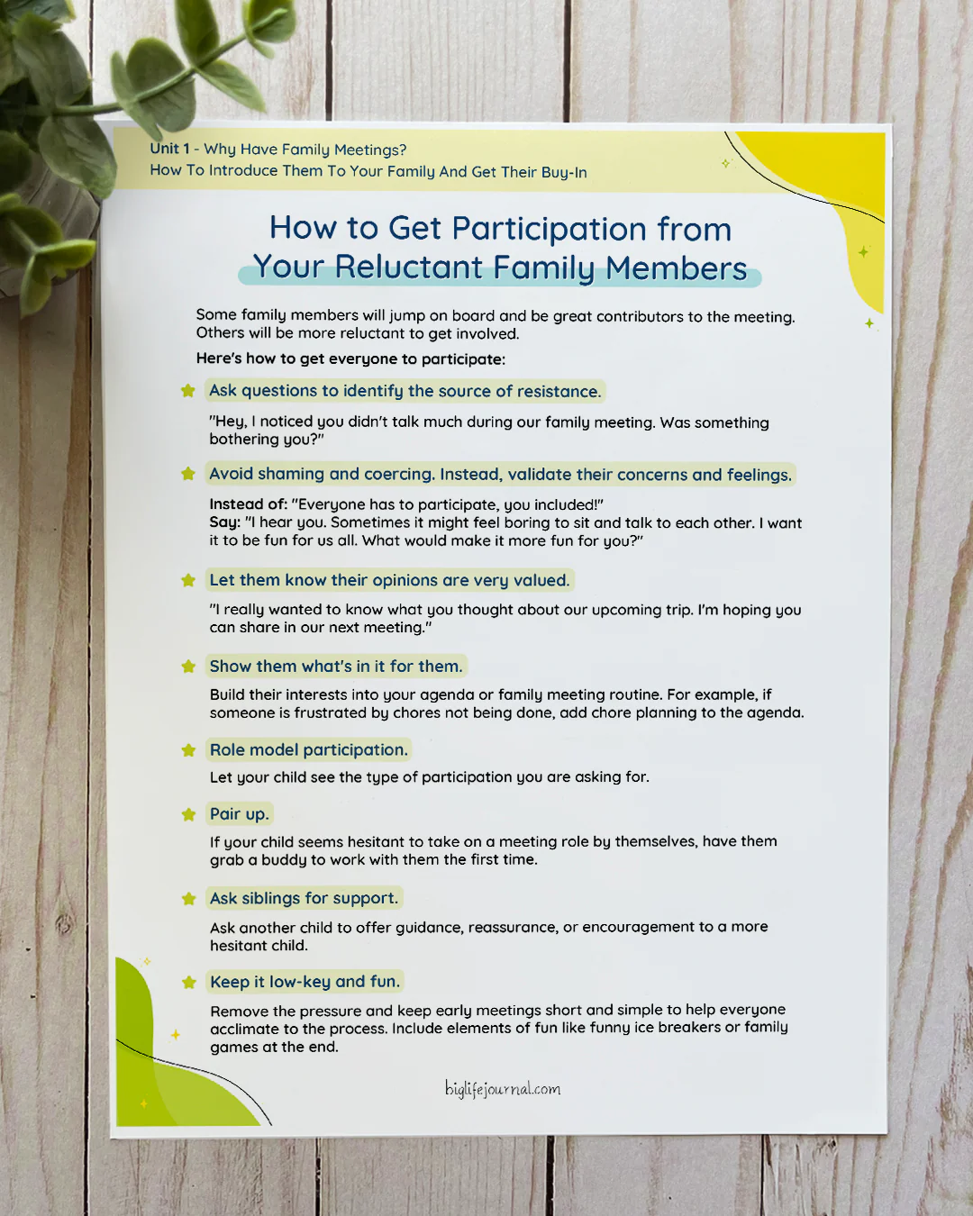 Family Meeting Resource Kit PDF - Image 5