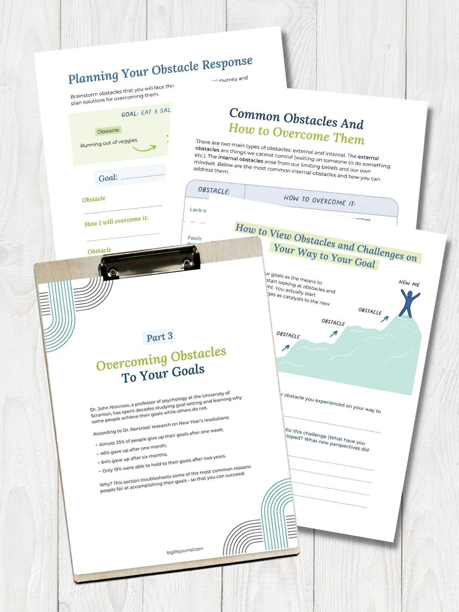 Goal Setting Kit PDF (ages 18-99) - Image 8